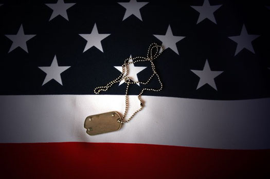 7605163 - dog tag on american flag.freedom is not free